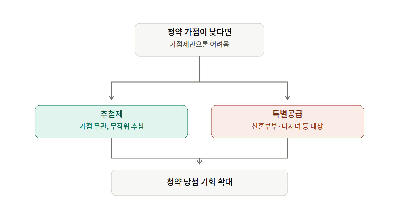청약 가점이 낮을 때 추첨제와 특별공급이라는 대안 경로